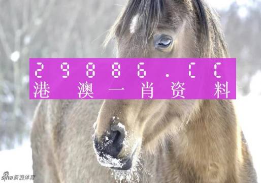 澳门一肖一码100%精准一，精准解答解释落实_yjf71.30.38