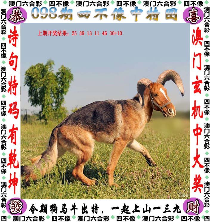 2025澳门最准四不像下载，构建解答解释落实_yip32.69.43