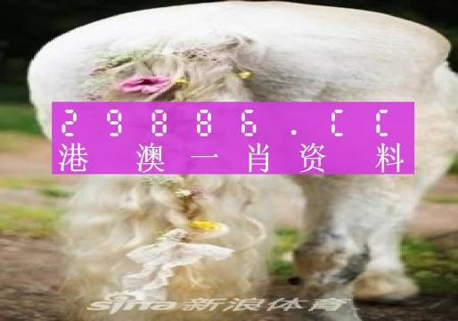 澳门一肖一码15期，综合解答解释落实_zc39.40.82